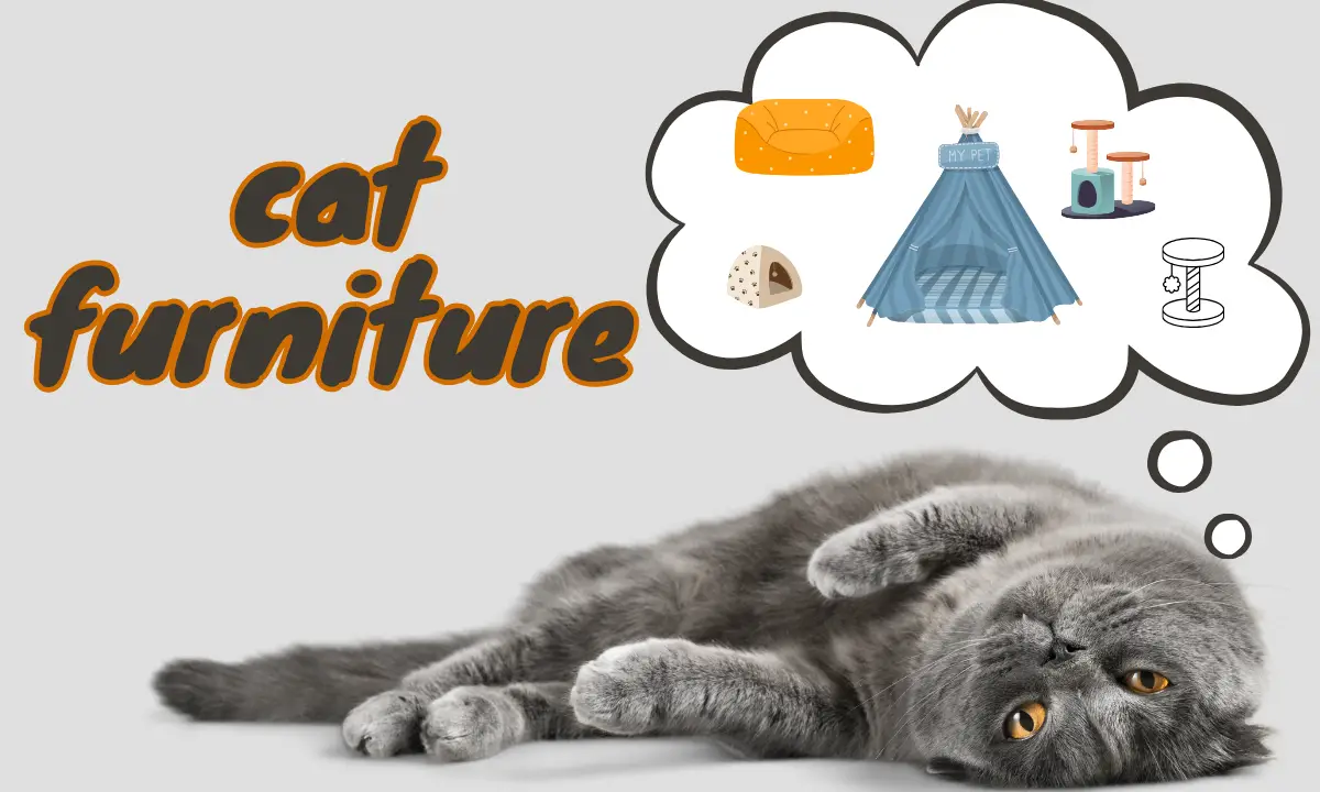 Cat Furniture