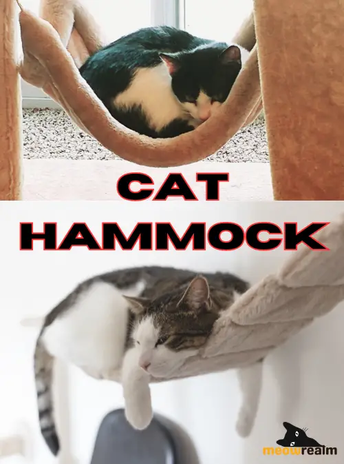 Cat Hammocks