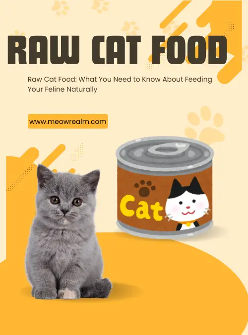 raw cat food