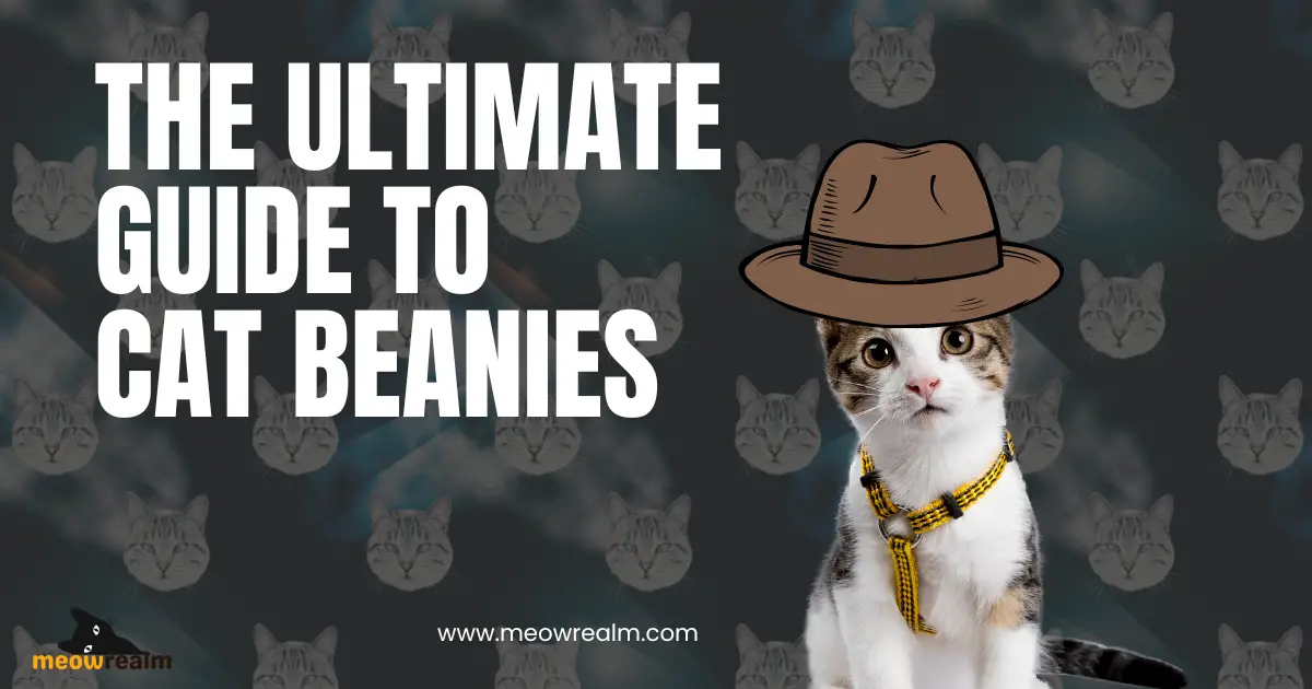 Cat Beanies