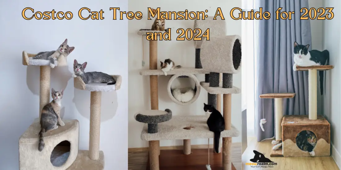 Costco Cat Tree