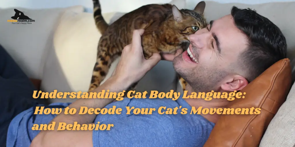 Cat Body Language