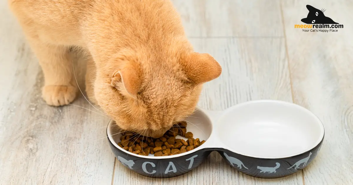 cat-food-guide