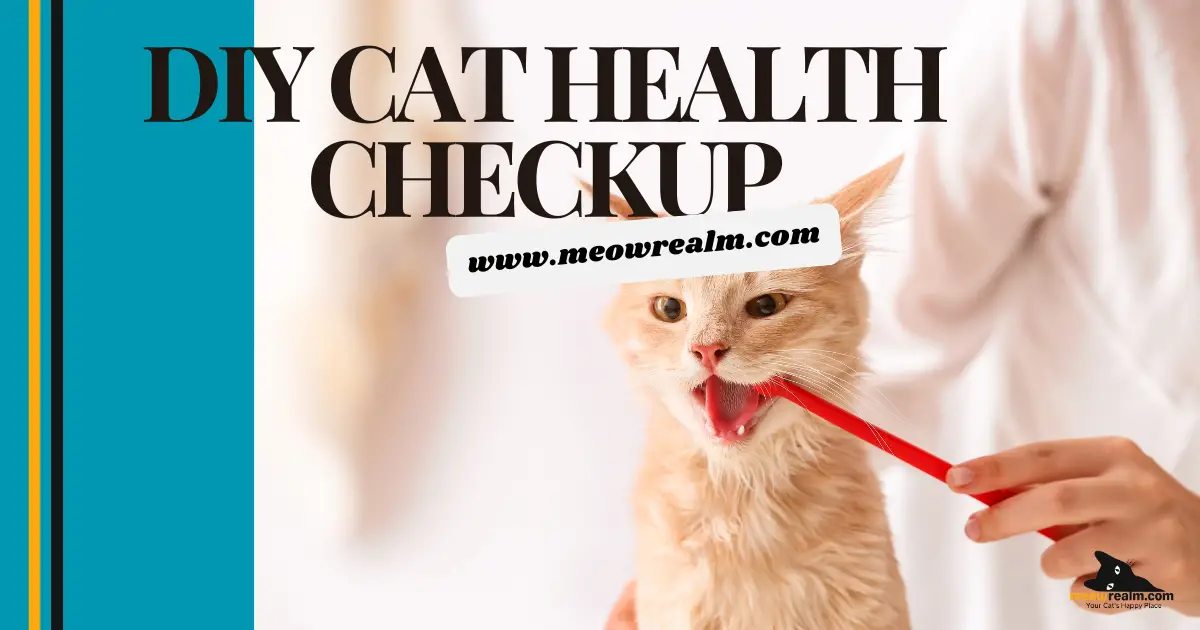 diy cat health checkup