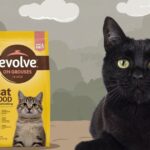 evolve cat food