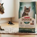 purina indoor cat food