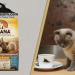 acana cat food​